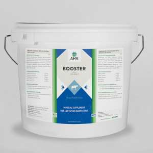 WEBSITE product overview AHV Booster USA